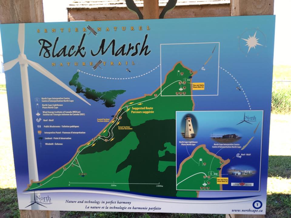 Black Marsh trail