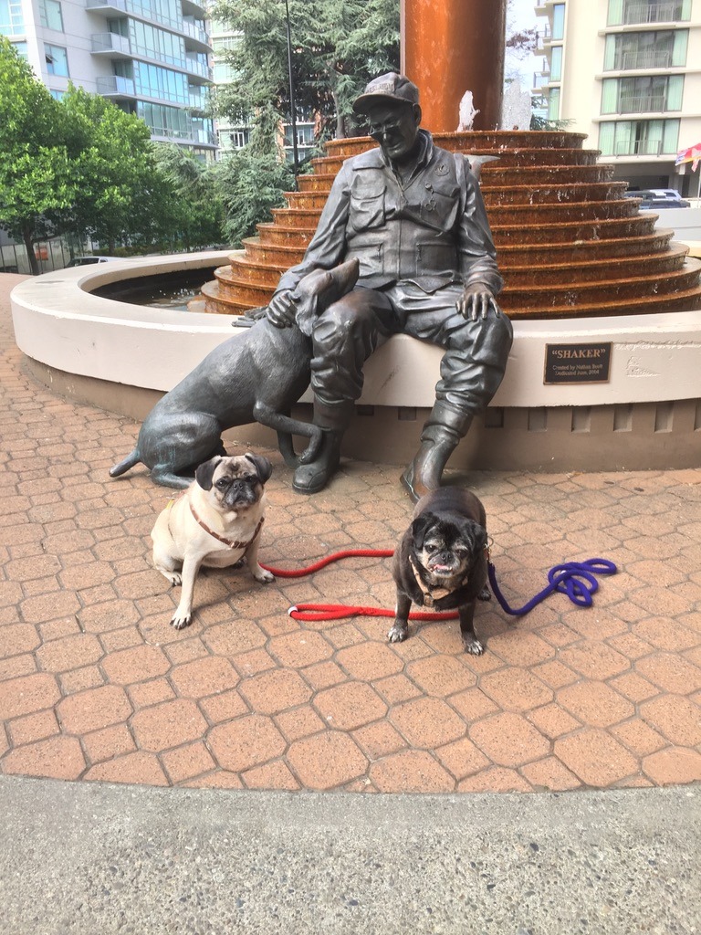 pugs at Shaker statue