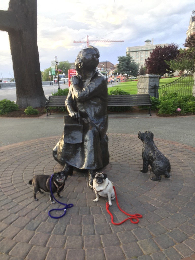 pugs and Emily Carr statue