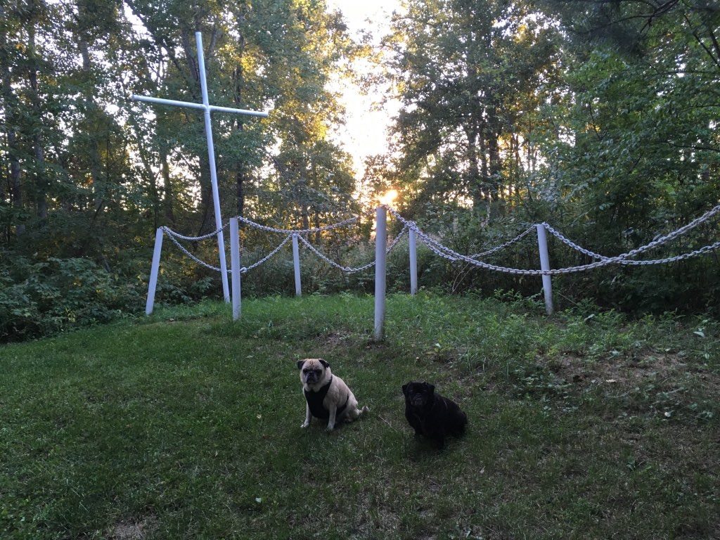pugs and graveyard