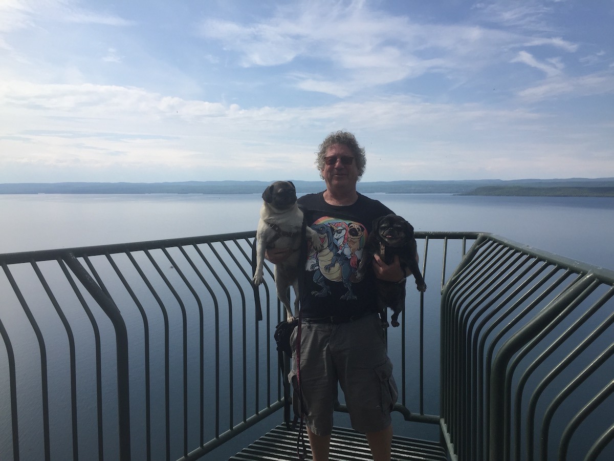 Larry pugs and Thunder Bay lookout