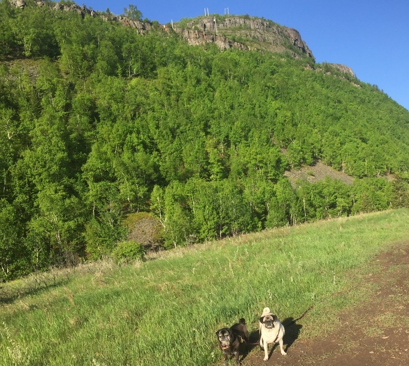 pugs and Mount Mackay valley 