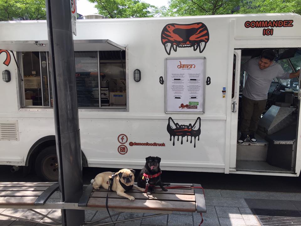 Indian food truck and pugs