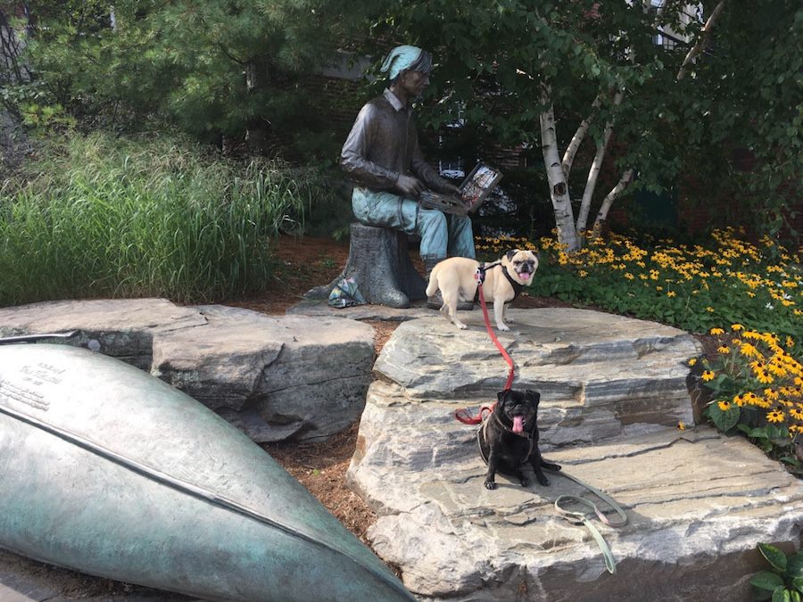 pugs and statue of Tom Thompson